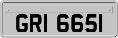 GRI6651