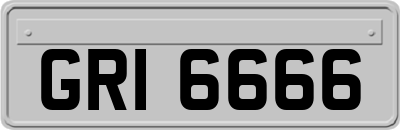 GRI6666