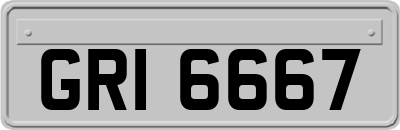GRI6667