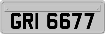 GRI6677