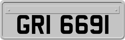 GRI6691