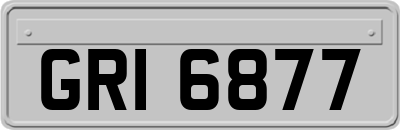GRI6877