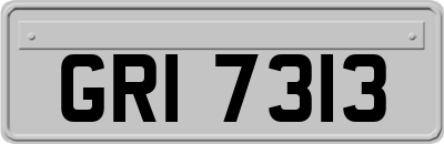 GRI7313