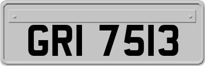 GRI7513