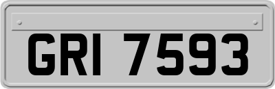 GRI7593