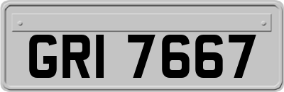GRI7667