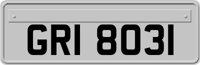 GRI8031