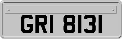 GRI8131