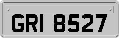 GRI8527