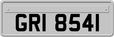 GRI8541