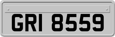 GRI8559