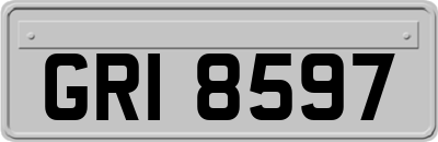 GRI8597