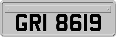 GRI8619