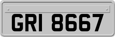 GRI8667