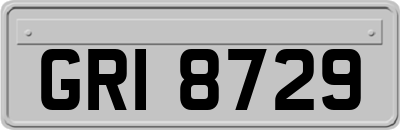 GRI8729
