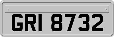 GRI8732