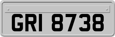 GRI8738