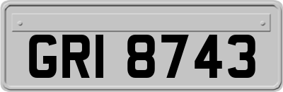 GRI8743