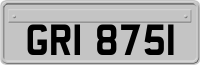 GRI8751