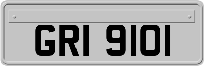 GRI9101