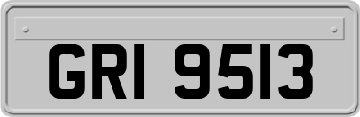 GRI9513