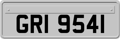 GRI9541