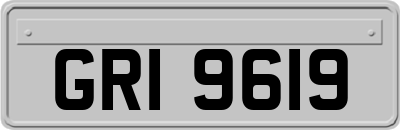 GRI9619