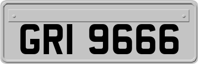 GRI9666