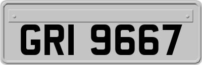 GRI9667