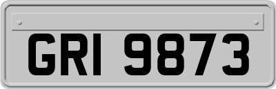 GRI9873