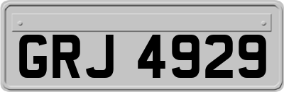 GRJ4929