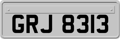 GRJ8313