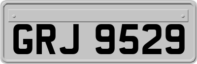 GRJ9529