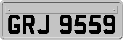 GRJ9559