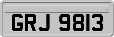 GRJ9813