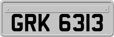 GRK6313