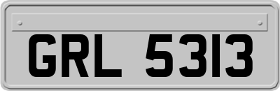 GRL5313