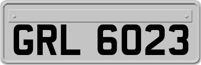 GRL6023