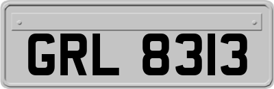 GRL8313