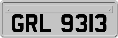 GRL9313