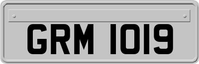 GRM1019