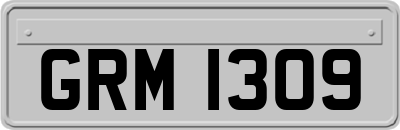 GRM1309