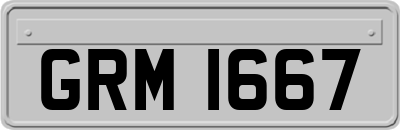 GRM1667