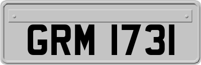 GRM1731