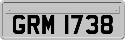 GRM1738