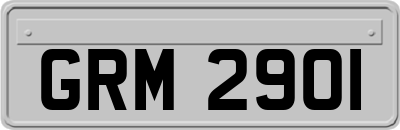 GRM2901