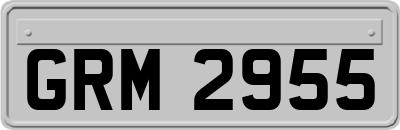GRM2955