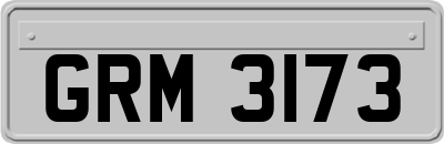 GRM3173