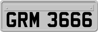 GRM3666