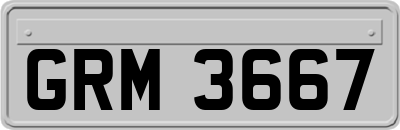 GRM3667